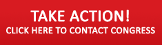 Take Action